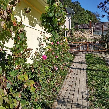 Lately Renovated Country House Тренчин Экстерьер фото