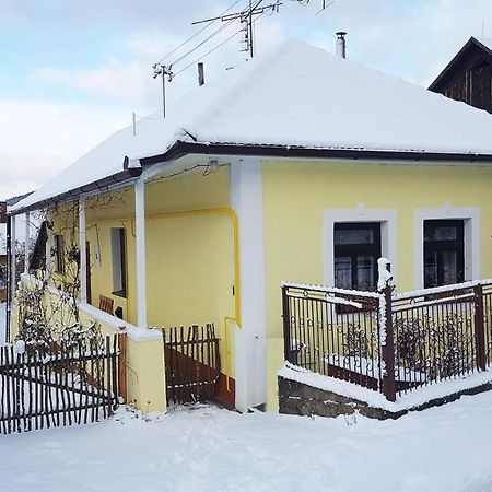 Lately Renovated Country House Тренчин Экстерьер фото