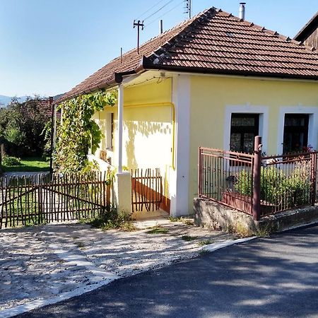 Lately Renovated Country House Тренчин Экстерьер фото