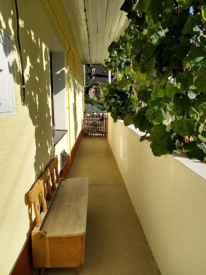 Lately Renovated Country House Тренчин Экстерьер фото