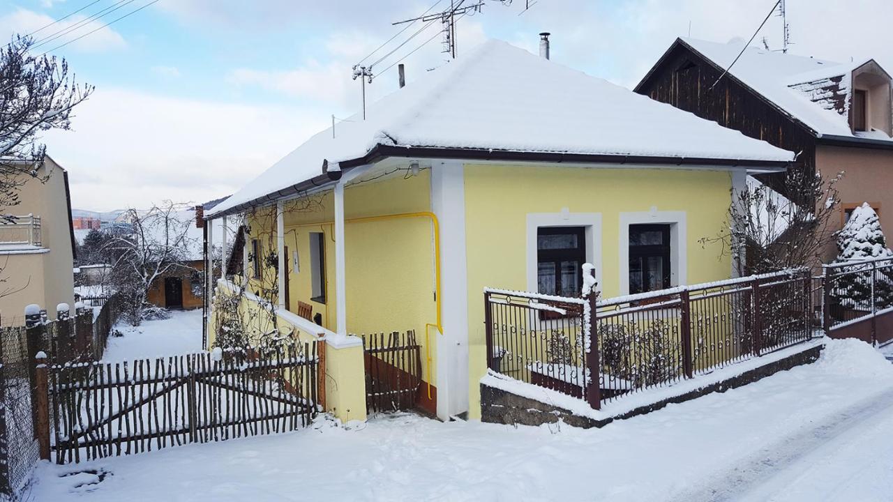 Lately Renovated Country House Тренчин Экстерьер фото