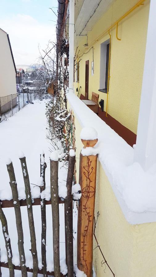 Lately Renovated Country House Тренчин Экстерьер фото