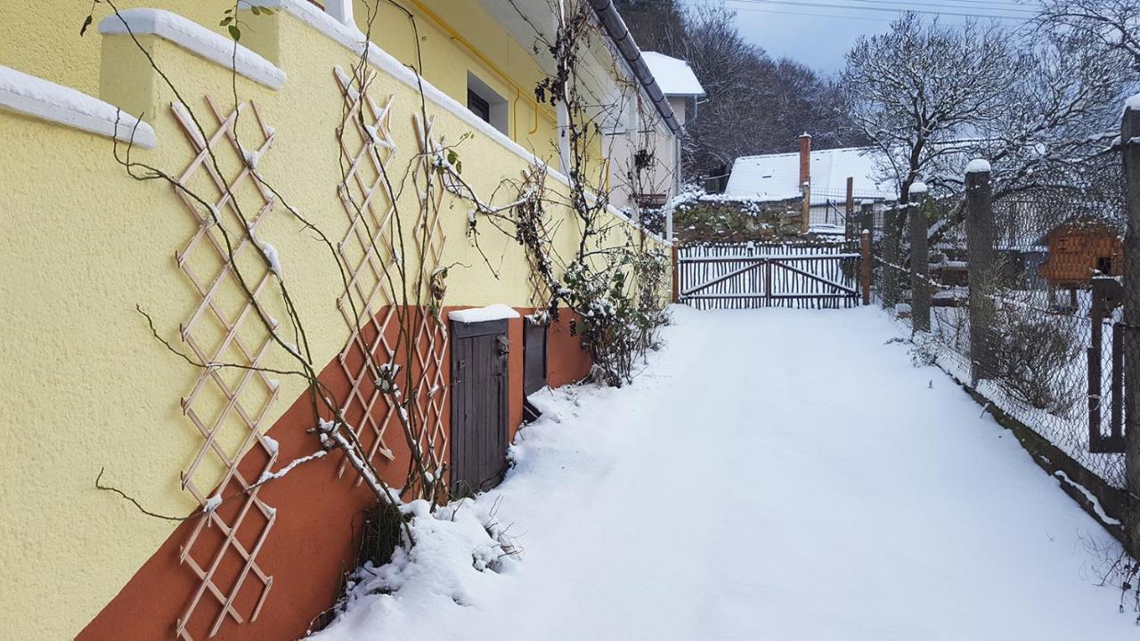 Lately Renovated Country House Тренчин Экстерьер фото