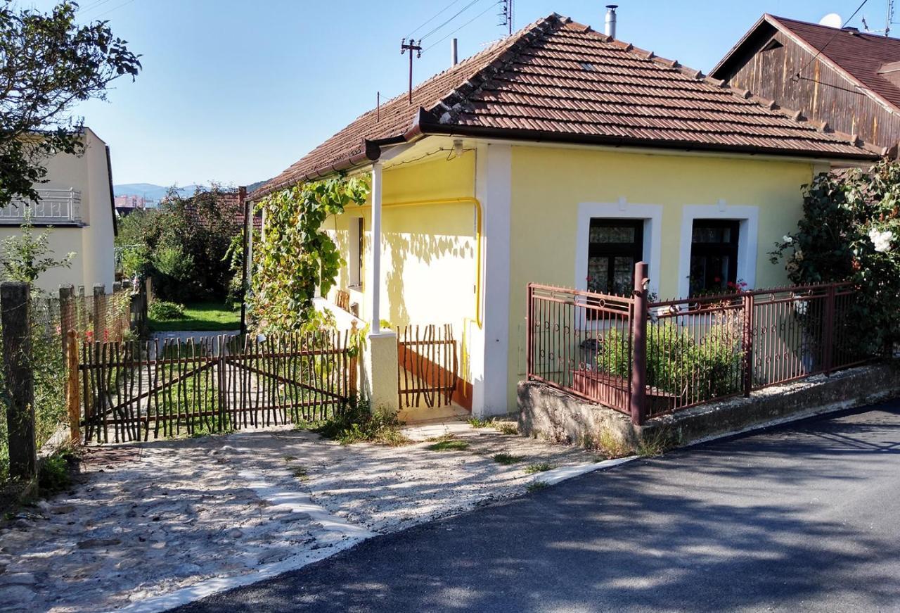 Lately Renovated Country House Тренчин Экстерьер фото