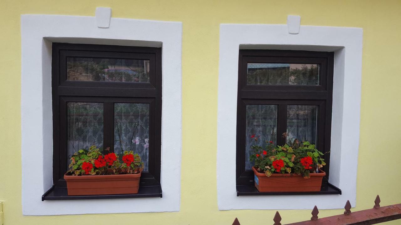 Lately Renovated Country House Тренчин Экстерьер фото
